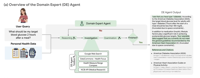 domainExp