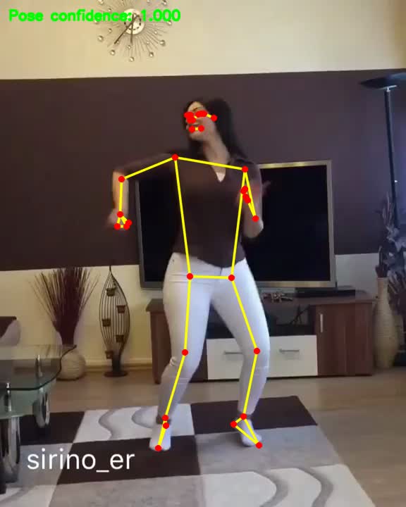 First validated video frame with a MediaPipe Pose skeleton drawn over a standing person.