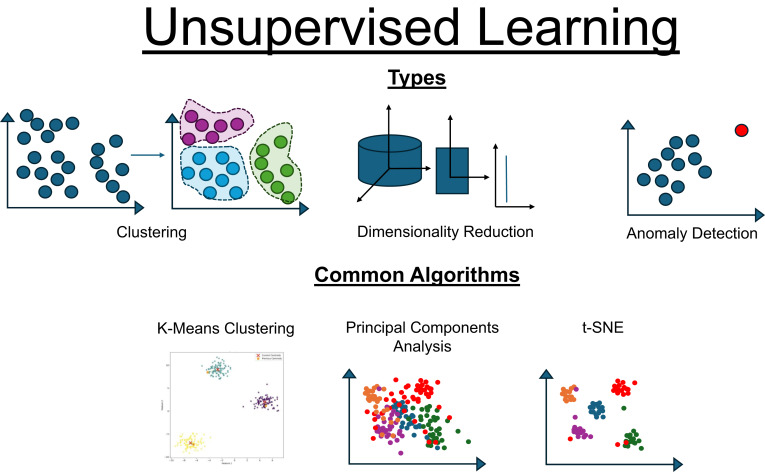 Nongenerative Artificial Intelligence in Medicine: Advancements and  Applications in Supervised and Unsupervised Machine Learning - ScienceDirect