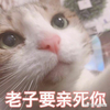 a刘灏