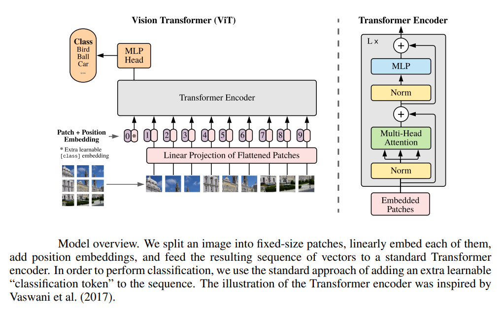 Figure 4: Source: Transformers for image recognition at scale.